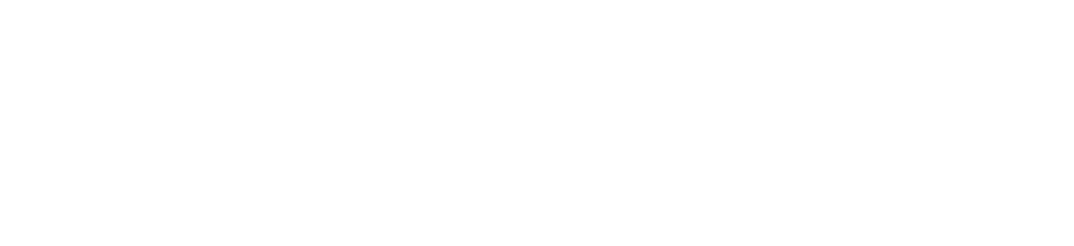 Roadrunner Venture Consortium